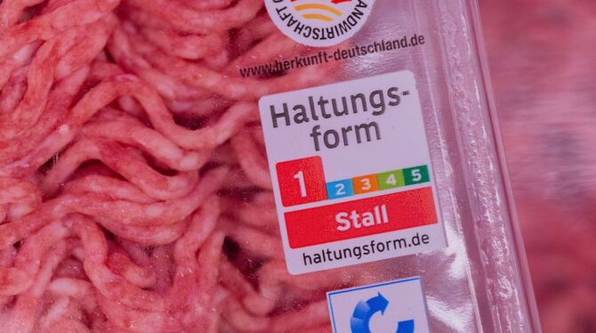 Haltungsform 1