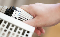 Wie geht es in Kirchentellinsfurt mit der Wärmeplanung weiter? Zahlreiche Besucher wollten das bei der Bürgerinfo wissen.