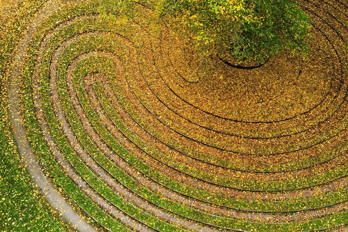 Herbst in Niedersachsen Herbst in Niedersachsen