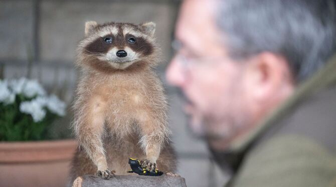 Wildtierschützer Wildtierschützer