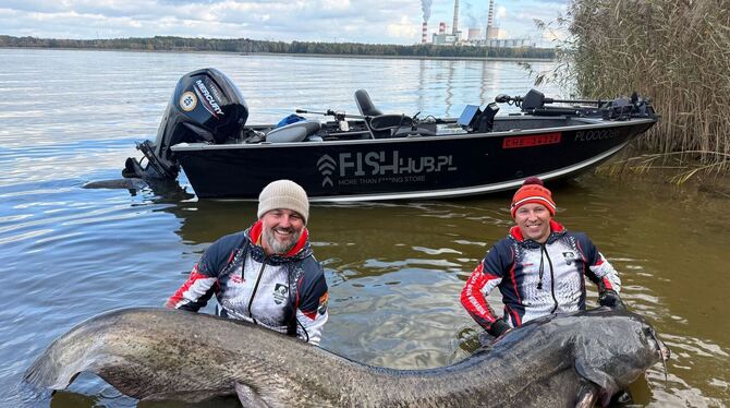 Riesiger Wels in Polen gefangen Riesiger Wels in Polen gefangen