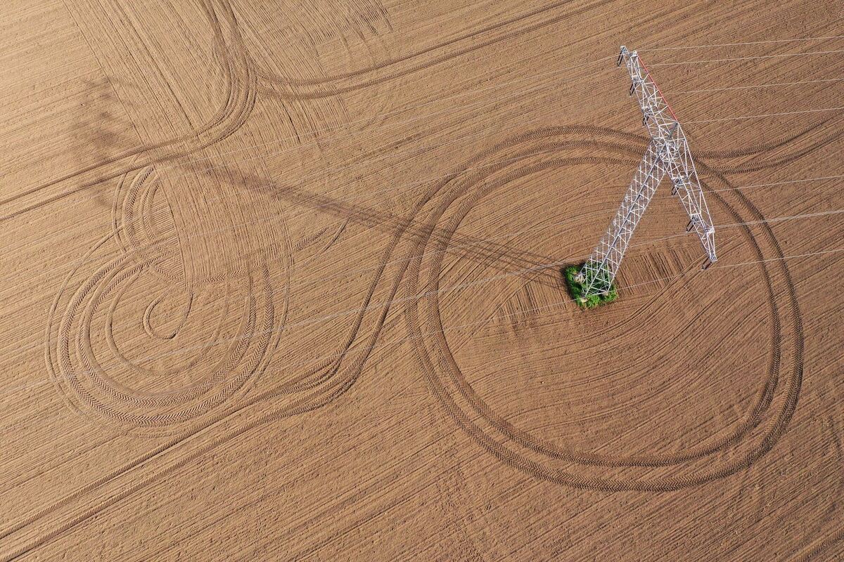 Feldlinien in Sachsen Feldlinien in Sachsen