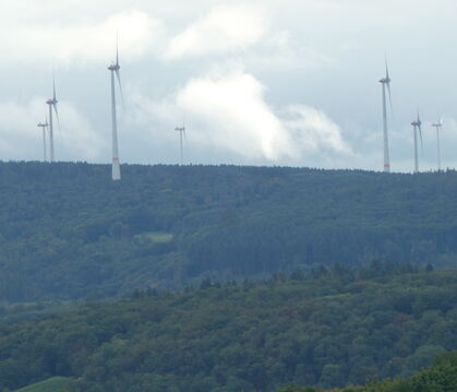 Hier am Hunsrück-Rand zur Mosel hin stehen sie zuhauf - in Ohmenhausen hingegen wehrt sich der Bezirksgemeinderat gegen lediglic