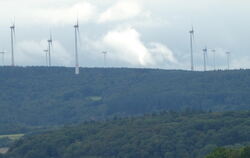 Hier am Hunsrück-Rand zur Mosel hin stehen sie zuhauf - in Ohmenhausen hingegen wehrt sich der Bezirksgemeinderat gegen lediglic