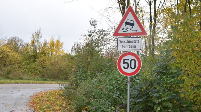 Temposchild In Richtung Schinderklinge gilt bereits Tempo 50. In diesem Bereich sind auch viele Radfahrer unterwegs.