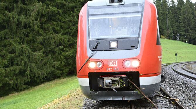 Zug entgleist im Allgäu nach Kollision mit Baum Zug entgleist im Allgäu nach Kollision mit Baum