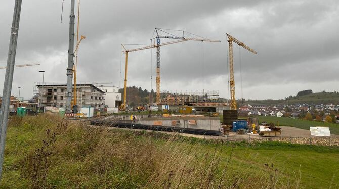 Kommune 17 von 19 Grundstücken in der Finkenstraße sind verkauft, einige bereits bebaut.