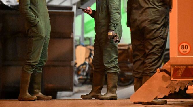 Vogelgrippe Vogelgrippe