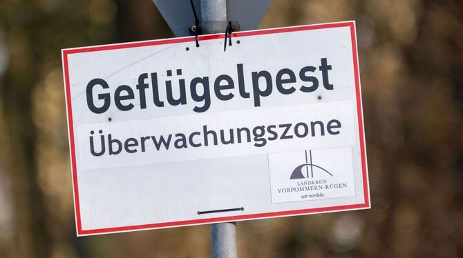 Vogelgrippe Vogelgrippe