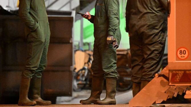 Vogelgrippe Vogelgrippe