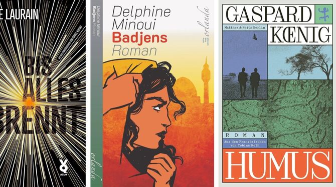 prix premiere 2026 finalisten cover foto verlag Von Ökokrise bis Frauen-Rebellion: die Cover der drei Finalisten des Prix Premiere 2026.