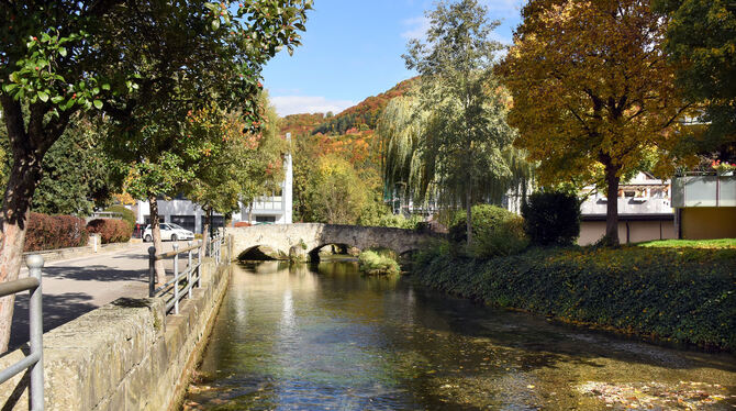 Hochwasserschutz Die Echaz kann idyllisch sein, oder auch zur Gefahr werden. Die Gemeinde Lichtenstein arbeitet ständig am Hochwasserschutzkonzep