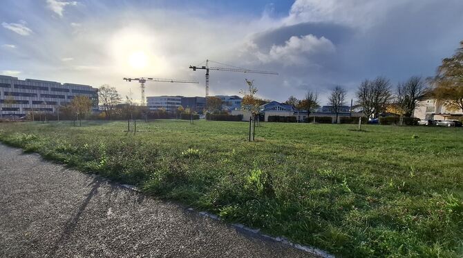 Wissenschaft Cyber Valley wächst: Ursprünglich für den Autozulieferer Bosch reserviert, sollen sich nun KI-Neugründer ansiedeln.