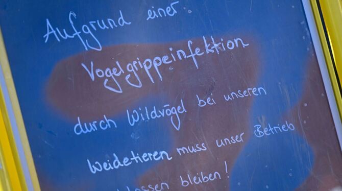 Vogelgrippe in Baden-Württemberg