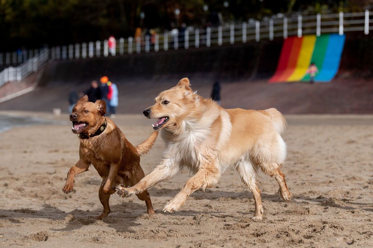 Wetter in Niedersachsen - Dangast Wetter in Niedersachsen - Dangast