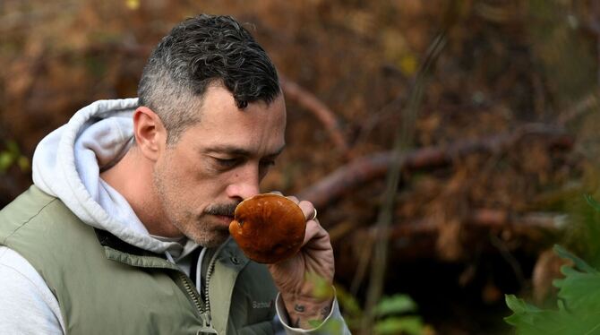 Mit einem Pilz-Influencer in den Pilzen Mit einem Pilz-Influencer in den Pilzen