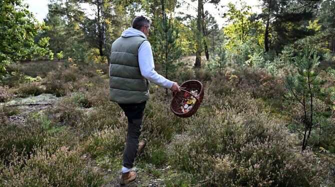 Mit einem Pilz-Influencer in den Pilzen Mit einem Pilz-Influencer in den Pilzen