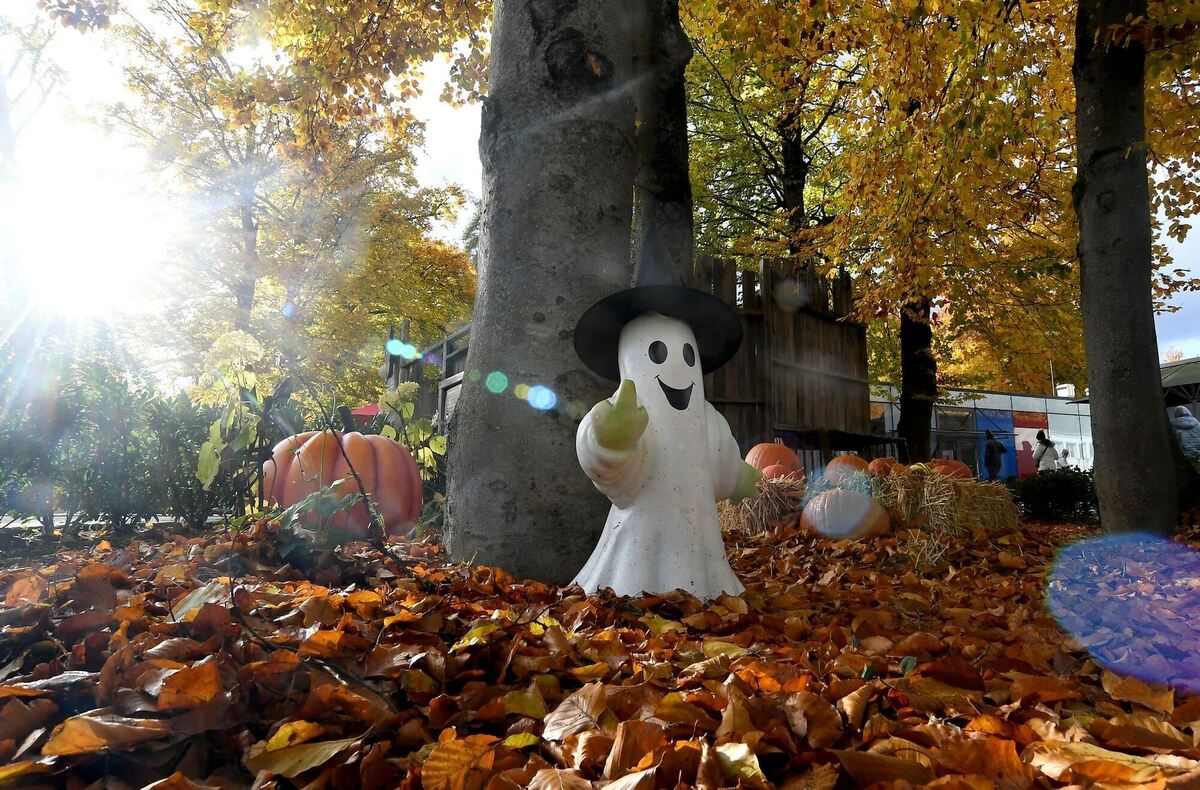 Halloween - Spooky Tour 2025 in der Bavaria Filmstadt