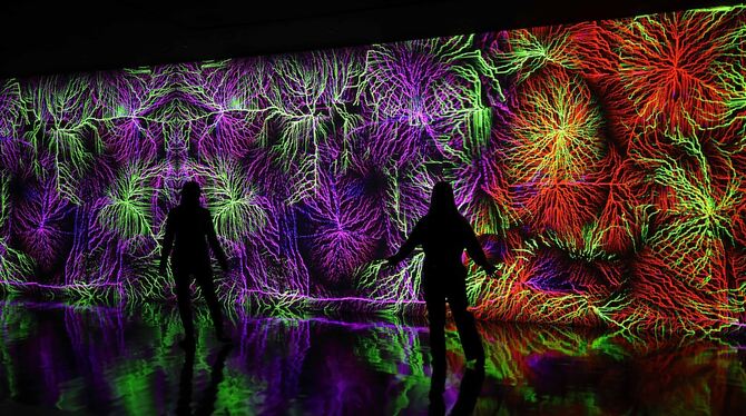 Verzauberte Räume: Die digitale Kunst von Miguel Chevalier in der Kunsthalle München.