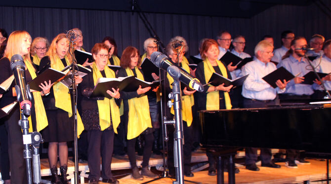 Zu Gast waren Chöre aus der Region, hier JukeBox. FOTO: LEIPPERT Zu Gast waren Chöre aus der Region, hier JukeBox. FOTO: LEIPPERT