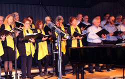 Zu Gast waren Chöre aus der Region, hier JukeBox.  FOTO: LEIPPERT