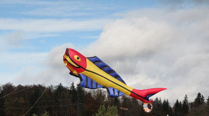 Die Forelle, hier nicht im Quintett. FOTOS: WURSTER Die Forelle, hier nicht im Quintett. FOTOS: WURSTER