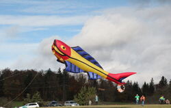 Die Forelle, hier nicht im Quintett.  FOTOS: WURSTER