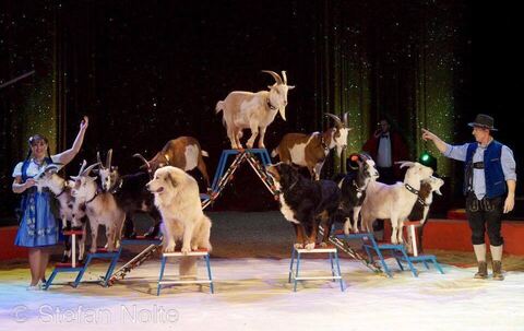 468285599_1102715981855024_8370670193059492667_n