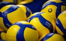 DHB-Stützpunkt Potsdam