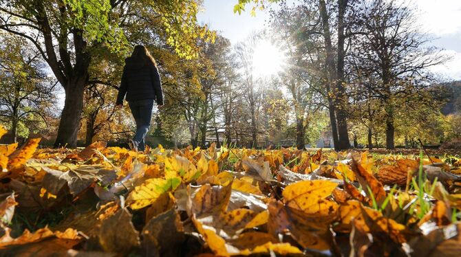 Wetter in Baden-Württemberg Wetter in Baden-Württemberg