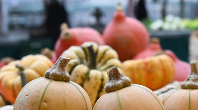 Kürbisse sind kulinarische Alleskönner. Ob als Süßspeise, Kuchen oder Pudding, als herzhafte Suppe oder Tarte - die Beerenfrücht