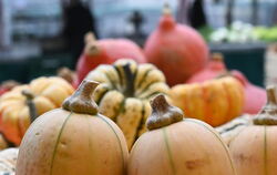 Kürbisse sind kulinarische Alleskönner. Ob als Süßspeise, Kuchen oder Pudding, als herzhafte Suppe oder Tarte - die Beerenfrücht