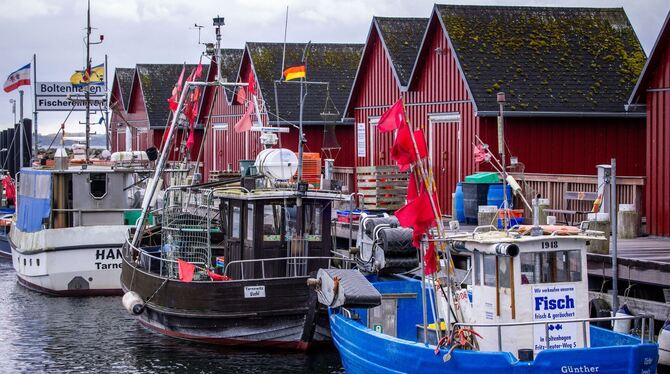 Vor dem Treffen zu neuen Fischfangmengen Vor dem Treffen zu neuen Fischfangmengen
