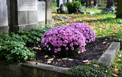 Zeitgemäßer Grabschmuck verbindet Farbe, Symbolkraft und Nachhaltigkeit – wie hier mit langlebigen Herbstpflanzen.