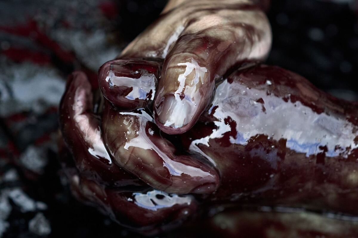 Umweltproteste in den Niederlande Umweltproteste in den Niederlande
