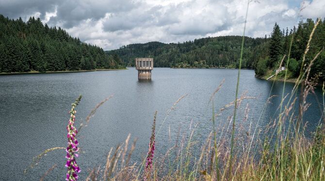 Trinkwassertalsperre Mauthaus, Ködeltalsperre