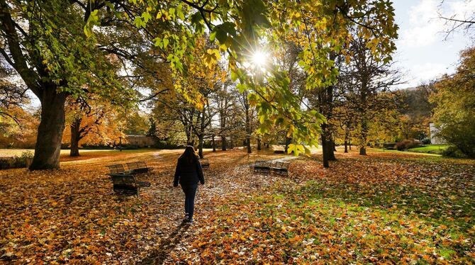 Wetter in Baden-Württemberg Wetter in Baden-Württemberg
