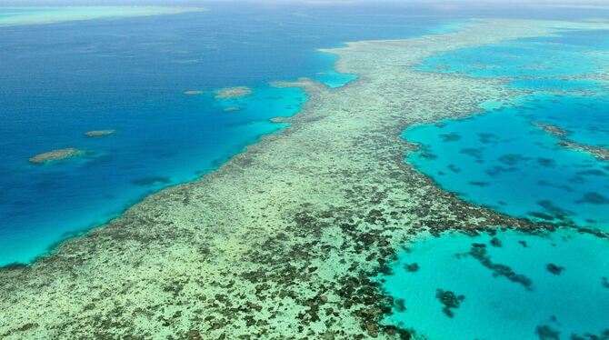 Great Barrier Reef in Australien