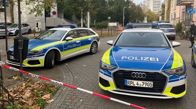 Großeinsatz an Ludwigshafener Schule nach Messeralarm Großeinsatz an Ludwigshafener Schule nach Messeralarm