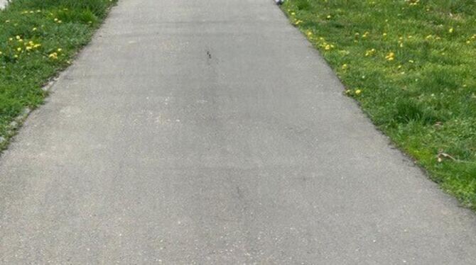 Tauben Sondelfingen Unbekannte bringen in Sondelfingen unter anderem im Bereich der Brücke »Roanner Straße« immer wieder verbotswidrig Vogelfutter a