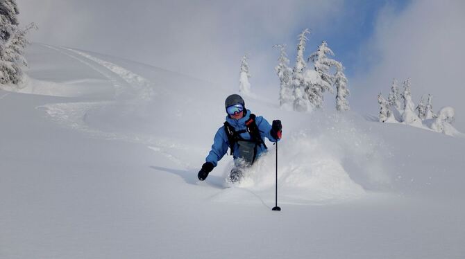 Was sich im November ändert Was sich im November ändert