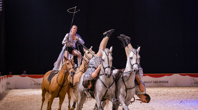 Das Marbacher Wochenende verspricht Shows rund ums Pferd. FOTO: GRAF Das Marbacher Wochenende verspricht Shows rund ums Pferd. FOTO: GRAF