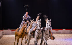 Das Marbacher Wochenende verspricht Shows rund ums Pferd.  FOTO: GRAF