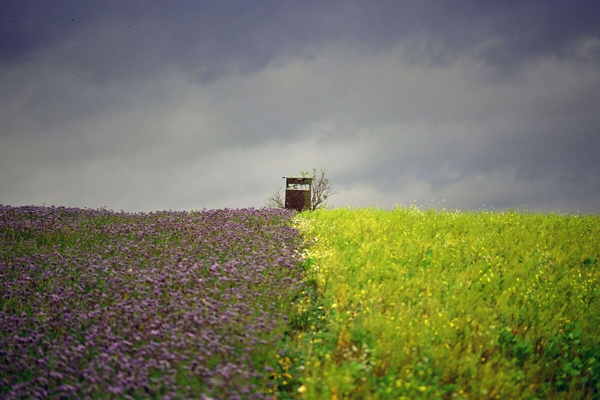 Wetter in Brandenburg Wetter in Brandenburg