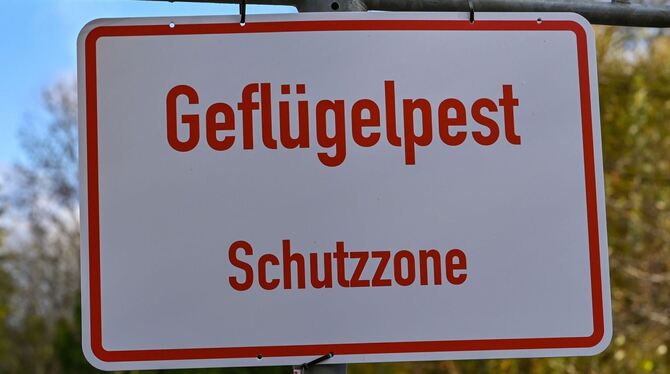 Geflügelpest Geflügelpest