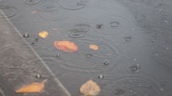 Wetter in Bergisch Gladbach