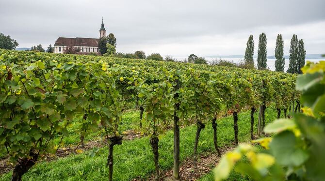Wetter in Baden-Württemberg