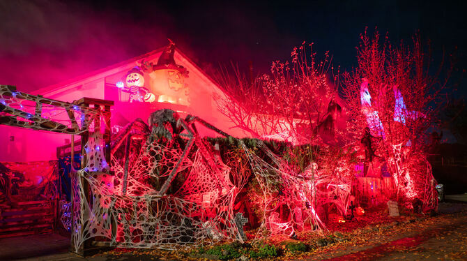 Die Nebelmaschine läuft und sorgt für mystische Stimmung am Halloween-Haus in Degerschlacht.