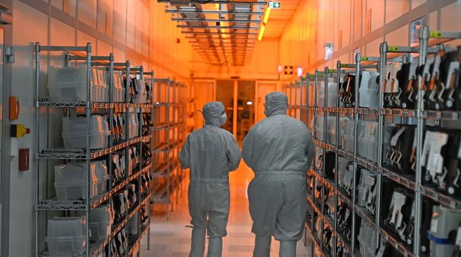 Halbleiterproduzent Nexperia Halbleiterproduzent Nexperia