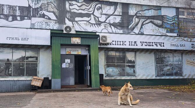 Straßenhunde in Tschernobyl Straßenhunde in Tschernobyl